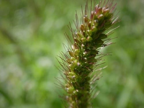 Science Shared: May 23