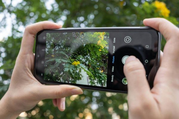 How Your iNaturalist Photos Feed the Digital Botany Revolution