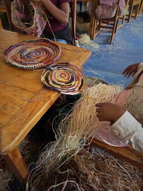 Unravelling Human-Plant Connections