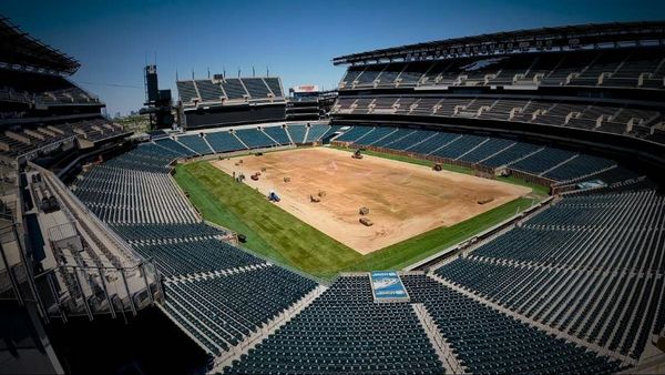 Turfgrass