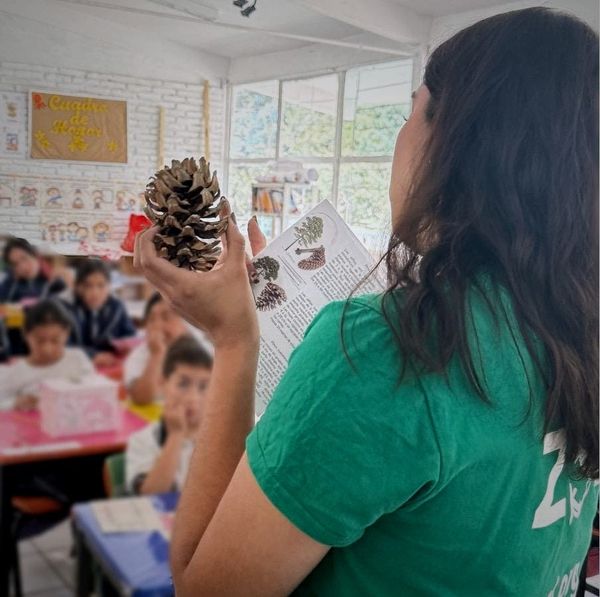 María Susana Sánchez Chávez on EDGE, data and conserving Pinus culminicola on the ground in Mexico