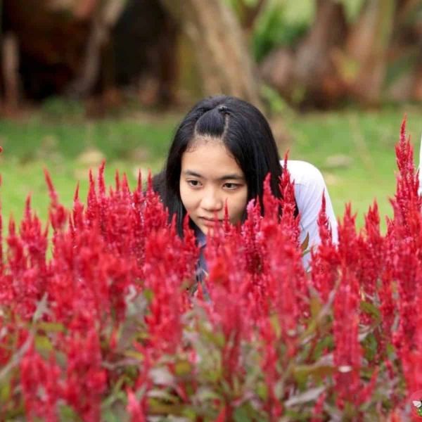 Alyssa Stewart observing pollinators at flowers