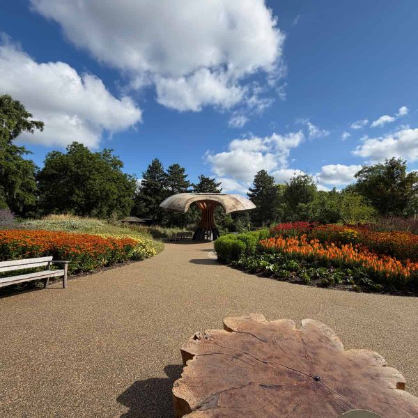 What looks like a giant wooden mushroom sits on a path among flame coloured flower beds. A chopped trunk sits in the foreground.