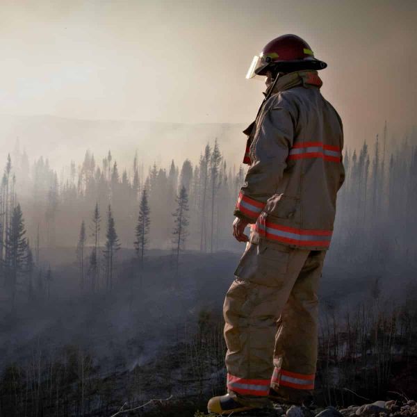 A firefighter in uniform surveys the aftermath of a forest fire with smoke rising through the trees