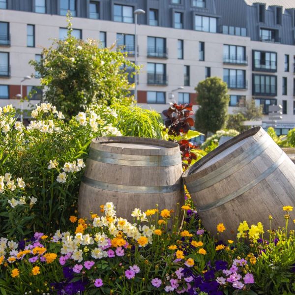 What Draws Pollinators to City Gardens?