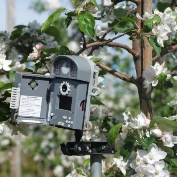 A camera watching bees in an orchard.