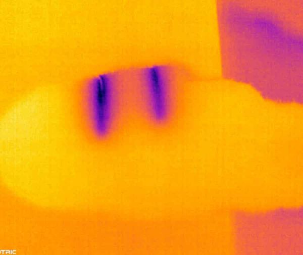 A thermal image of a leaf after a couple of cuts. The cuts are visible as cold purple against the warm orange leaf.
