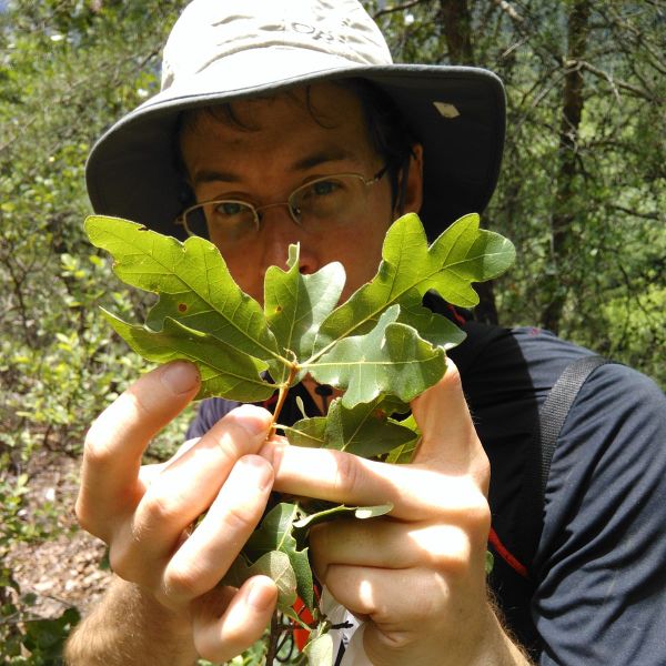 Sean Hoban: Turning Plant Science into Conservation Action