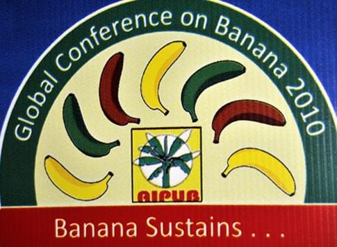 Banana sustains ...