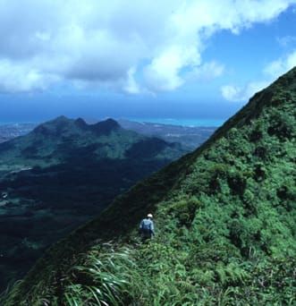 Diversification in Hawaiian Dubautia laxa