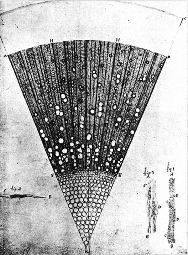 Collected letters of Antoni van Leeuwenhoek, Vol. II, Amsterdam, Sweets and Zeitlinger Ltd, 1941.