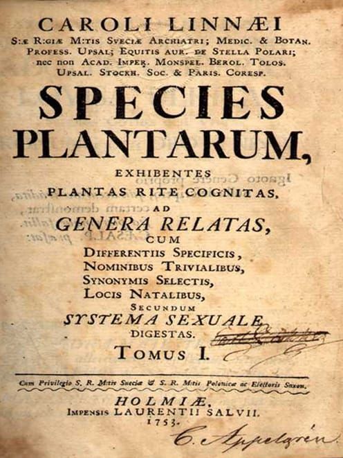 Plants: where to draw the line? (or, ICBN rules, OK!?)