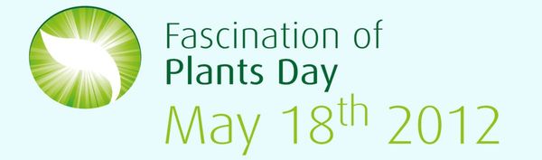 http://www.plantday12.eu/
