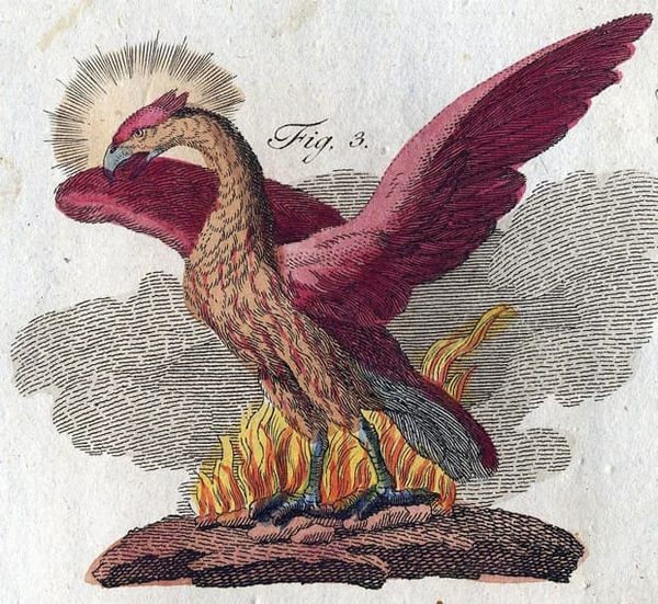 Friedrich Justin Bertuch, Bilderbuch für Kinder, 1790–1830.