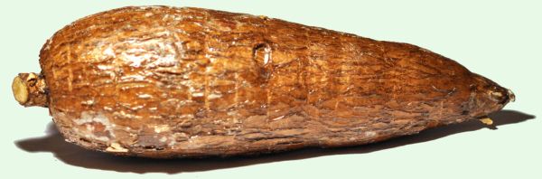 Image: Wikimedia Commons.