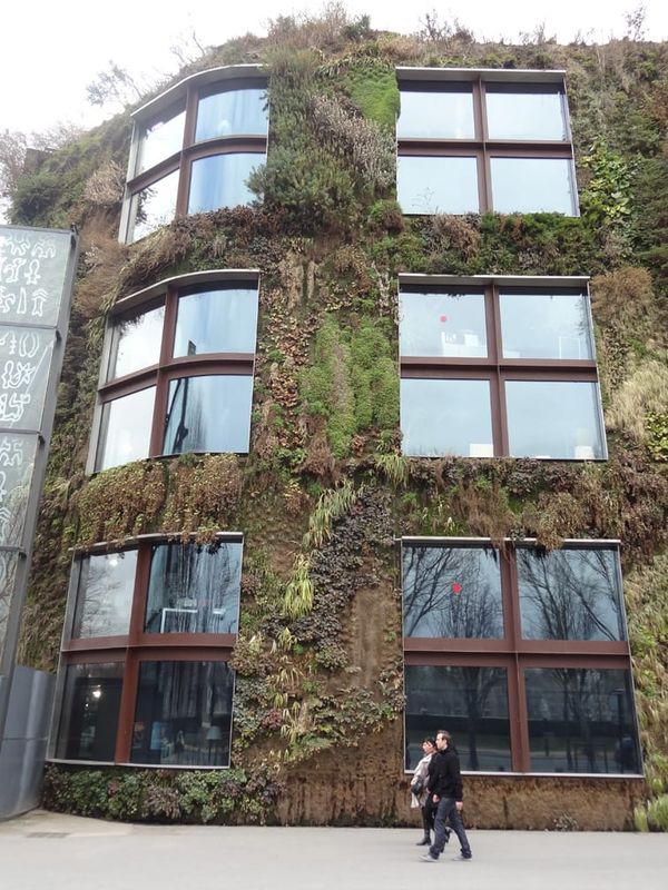 Wall plantings on an office along the South Bank, Paris
