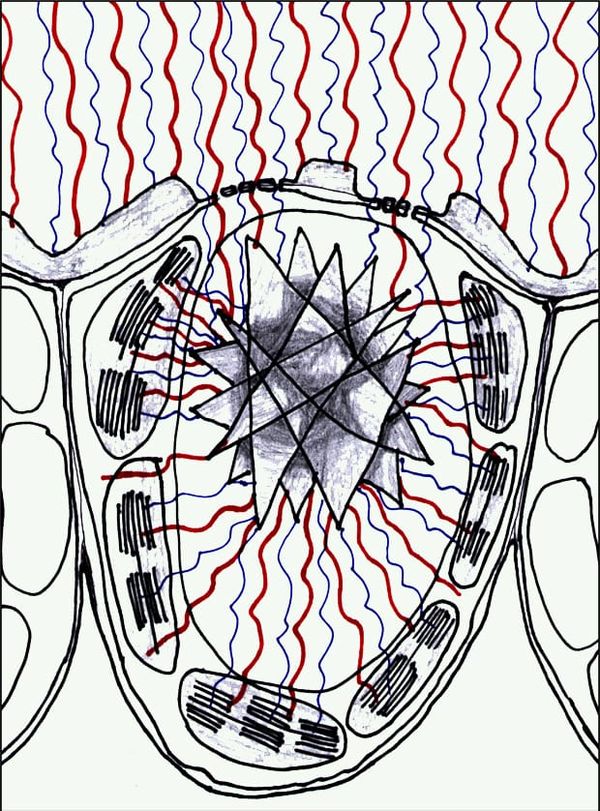 Image: Harry T. Horner.