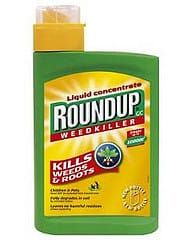 GM crops – OMG?