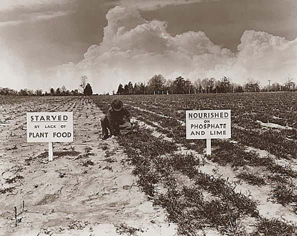 Image: Tennessee Valley Authority, 1942/ Franklin D. Roosevelt Presidential Library and Museum.