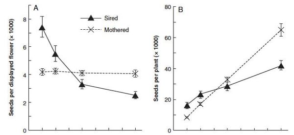 Graphs showing the success of various floral displays