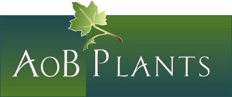 AoB PLANTS at ESA