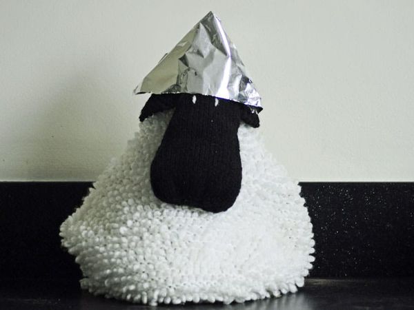 Sheep in a tin foil hat