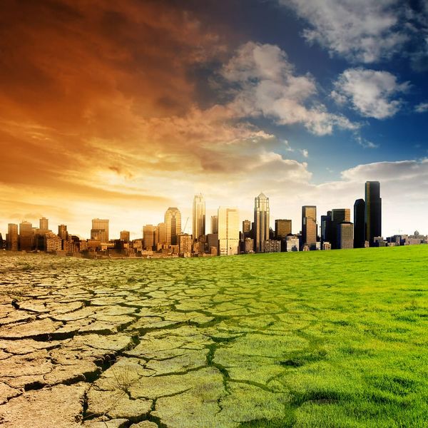 Plants and Climate Change: Complexities and Surprises