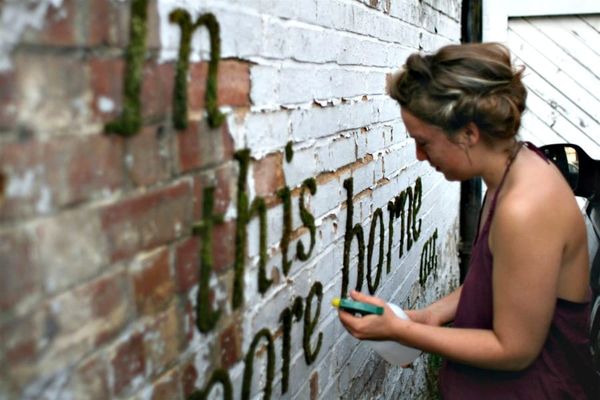Moss Graffiti