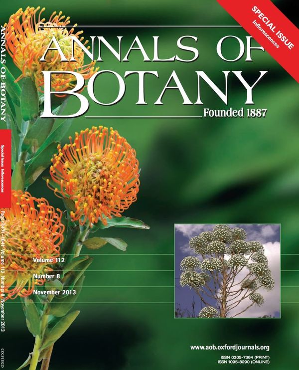 Inflorescences take centre stage