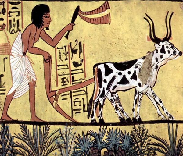 Image: Wikimedia Commons.
