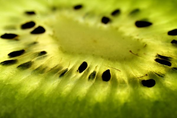Kiwi fruit