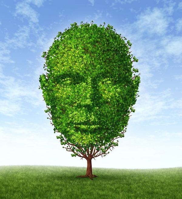 Plant Personality