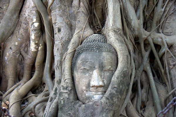 Buddha