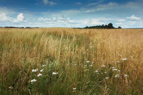 Denmark in July