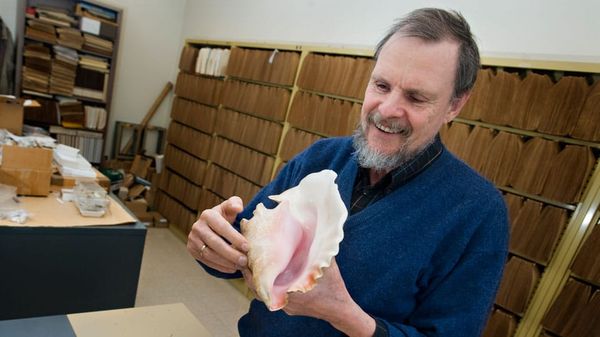Prof. Geerat Vermeij