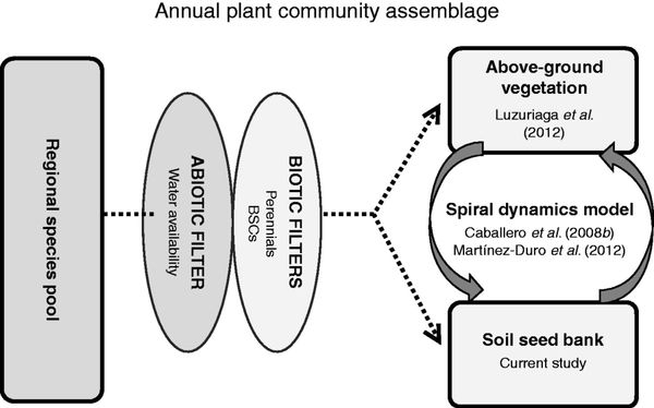 Factors driving species assemblage in Mediterranean soil seed banks
