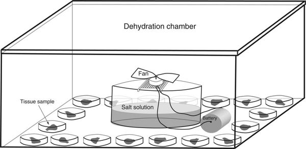 Schematic of the dehydration assay set-up.