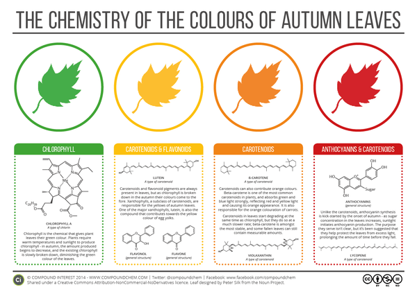The Chemistry of Leaves.
