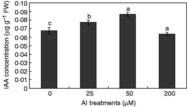 Effect of Al on IAA accumulation in soybean root tips.