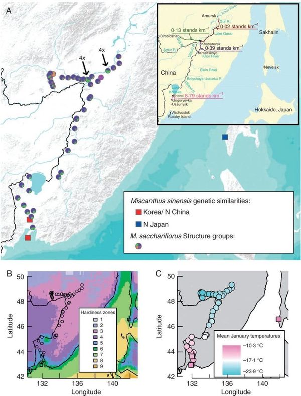 Collection locations, temperature data and population structure of Miscanthus in eastern Russia.