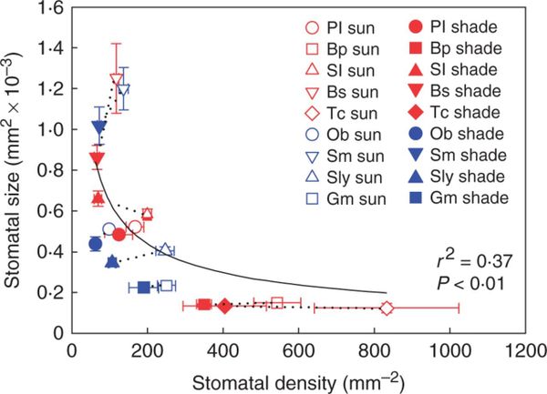 Mean stomatal size and stomatal density ± s.d. across species