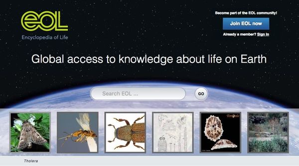 EOL page