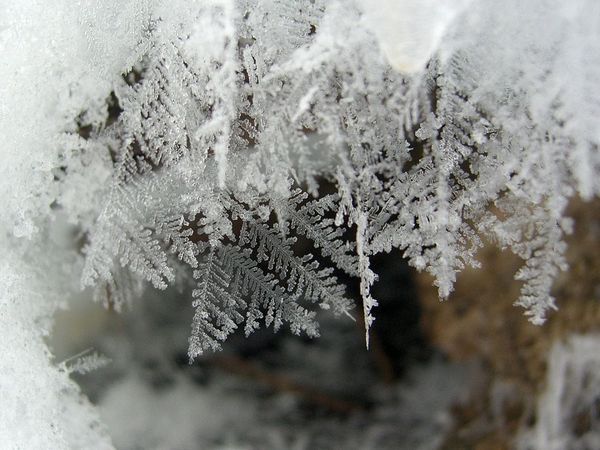 Snow