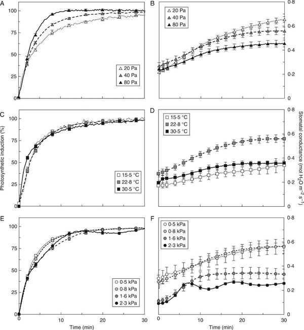 Photosynthetic induction and stomatal conductance in dark-adapted tomato leaves.