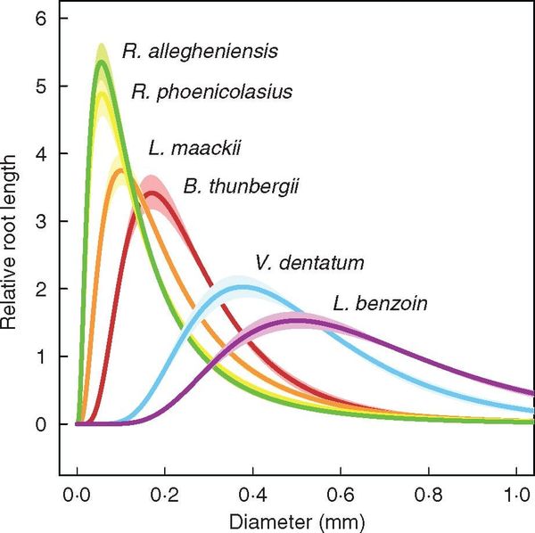 Distributions of fine root diameter, computed on the basis of length, for the species included in the study
