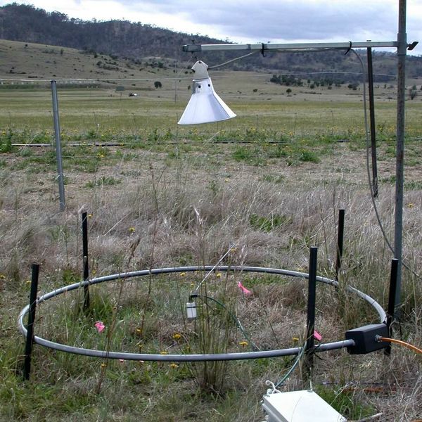 Experimental set-up