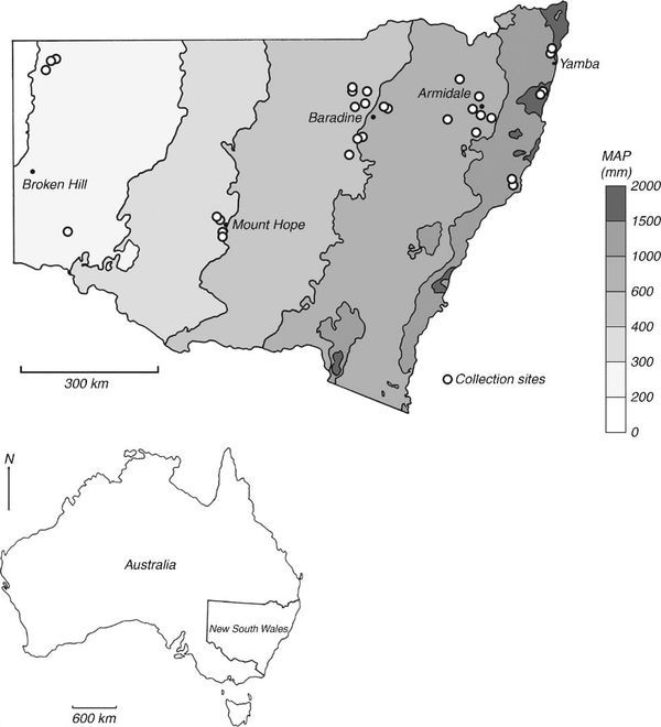 Mean annual precipitation (MAP) (mm) map of New South Wales, Australia with collection sites (open circles) (modified from Bu