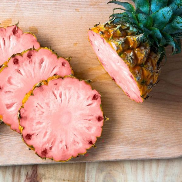 Plant Records: Pink Pineapple