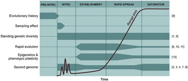 Evolutionary mechanisms involved in tree invasions and their changing importance during key invasion stages