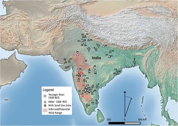Map showing the distribution of early archaeological horsegram, indicating those sites included in this study